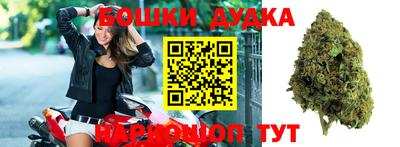 шишки Кандалакша