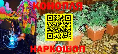 шишки Кандалакша