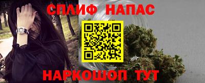 шишки Кандалакша