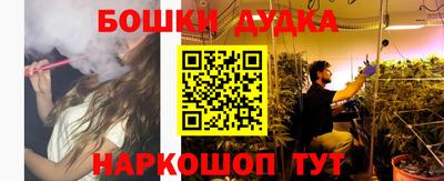 шишки Кандалакша