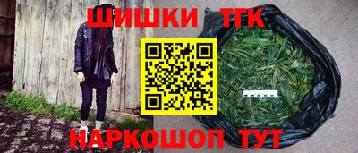шишки Кандалакша