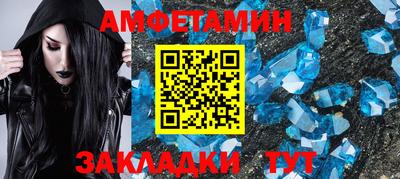 шишки Кандалакша